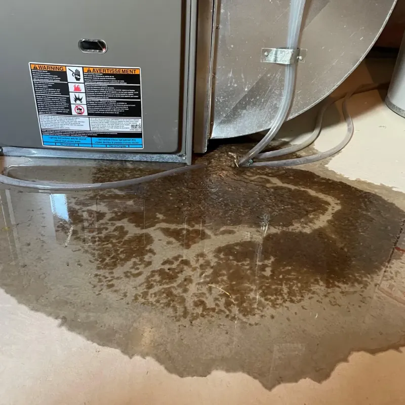 Appliance Leak Cleanup in Kahaluu-Keauhou, HI