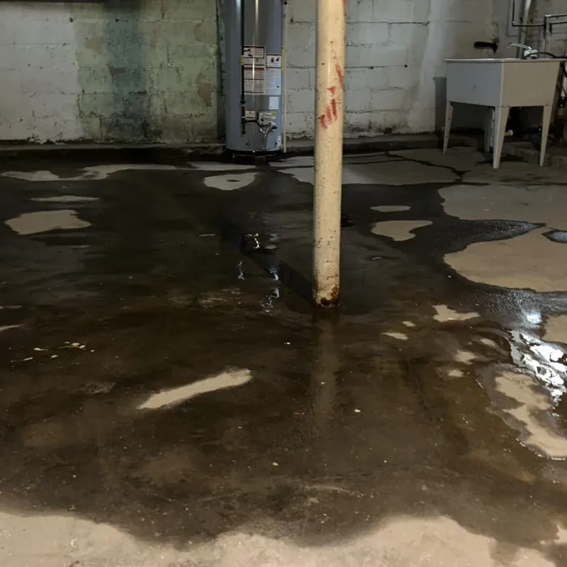 Emergency Water Extraction And Removal in Kahaluu-Keauhou, HI